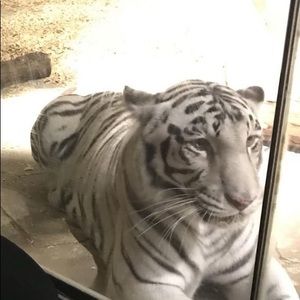 Meet your Posher, Mildred